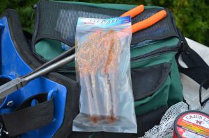 GitZit Tube Bait (Pumpkin)