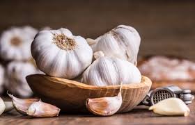 My Good Friend Garlic