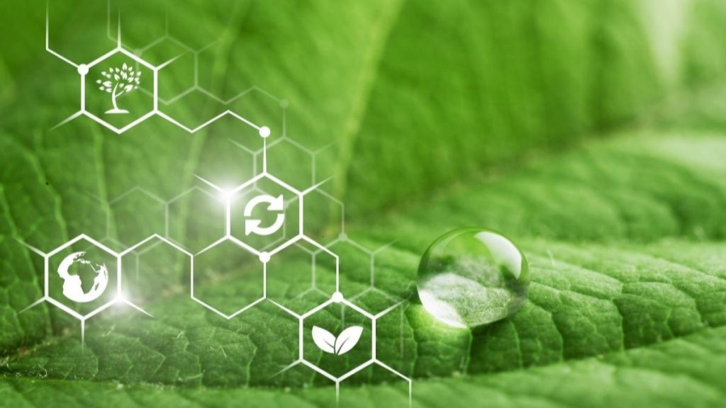 Engineered Foods