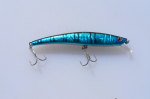 Lingm Crank Bait SDM05
