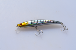 Lingm Crank Bait SDM10