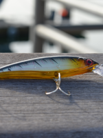 Proberos-01 jerk bait