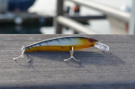 Proberos-01 jerk bait
