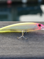 Proberos stick bait, the ultimate fish killer