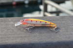 Proberos Stick Bait-09