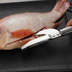 Fish Belly Knife