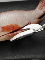 Fish Belly Knife