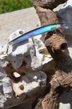 Medium Diving Minnow BBS