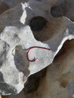 Salt Flats Circle Hook(2/0)