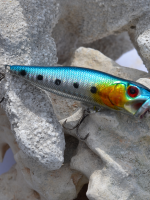 Souga Blue Silver Spotted