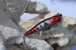 Souga Red Silver Black