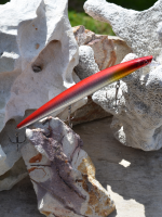 Large Minnow (Red Silver)