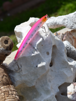 Medium Diving Minnow SPS