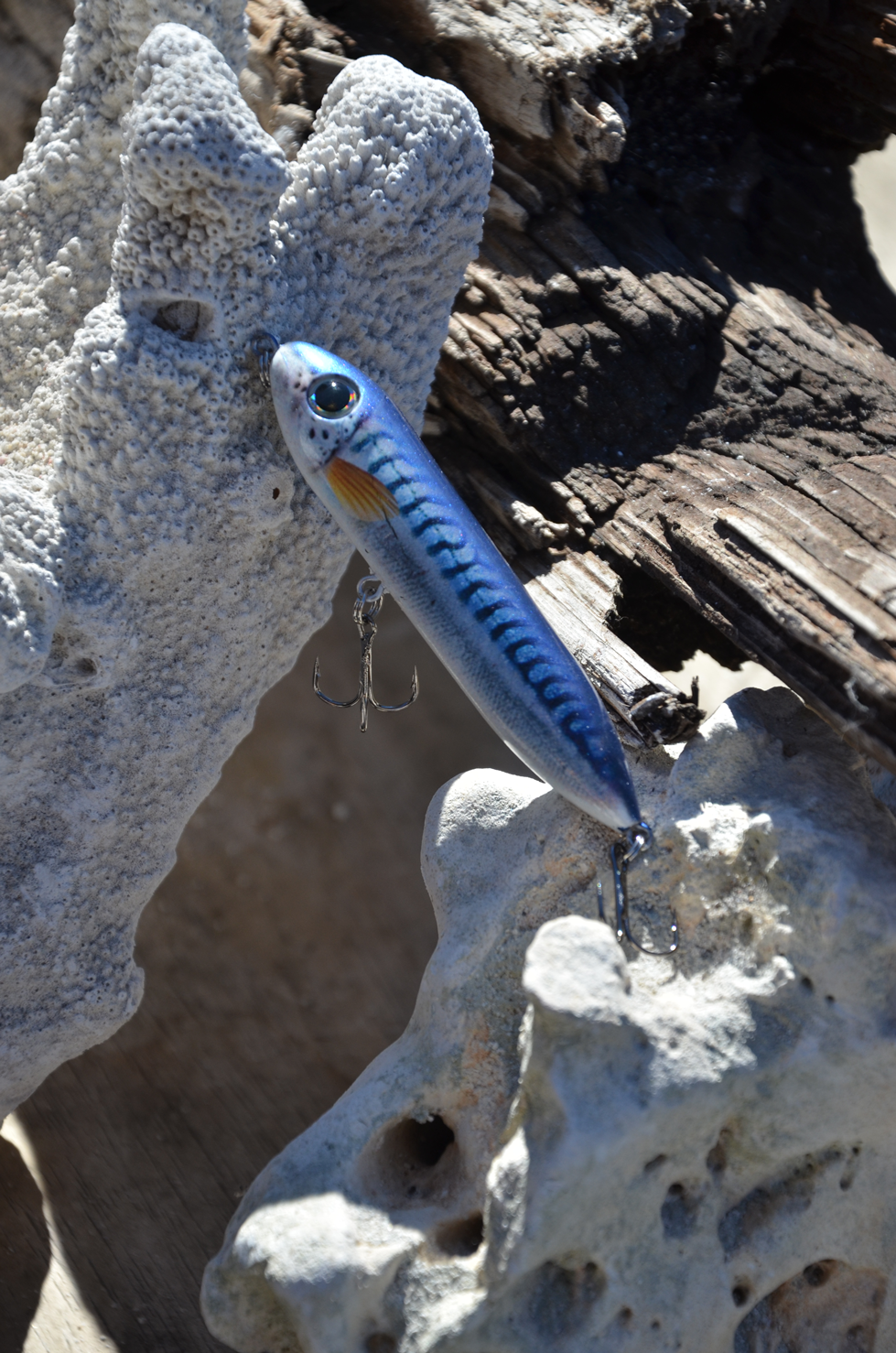 Topwater Wobbling Pumper Thumper Bonito Pattern