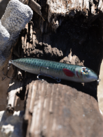 Topwater Wobbling Pumper Thumper(MP)