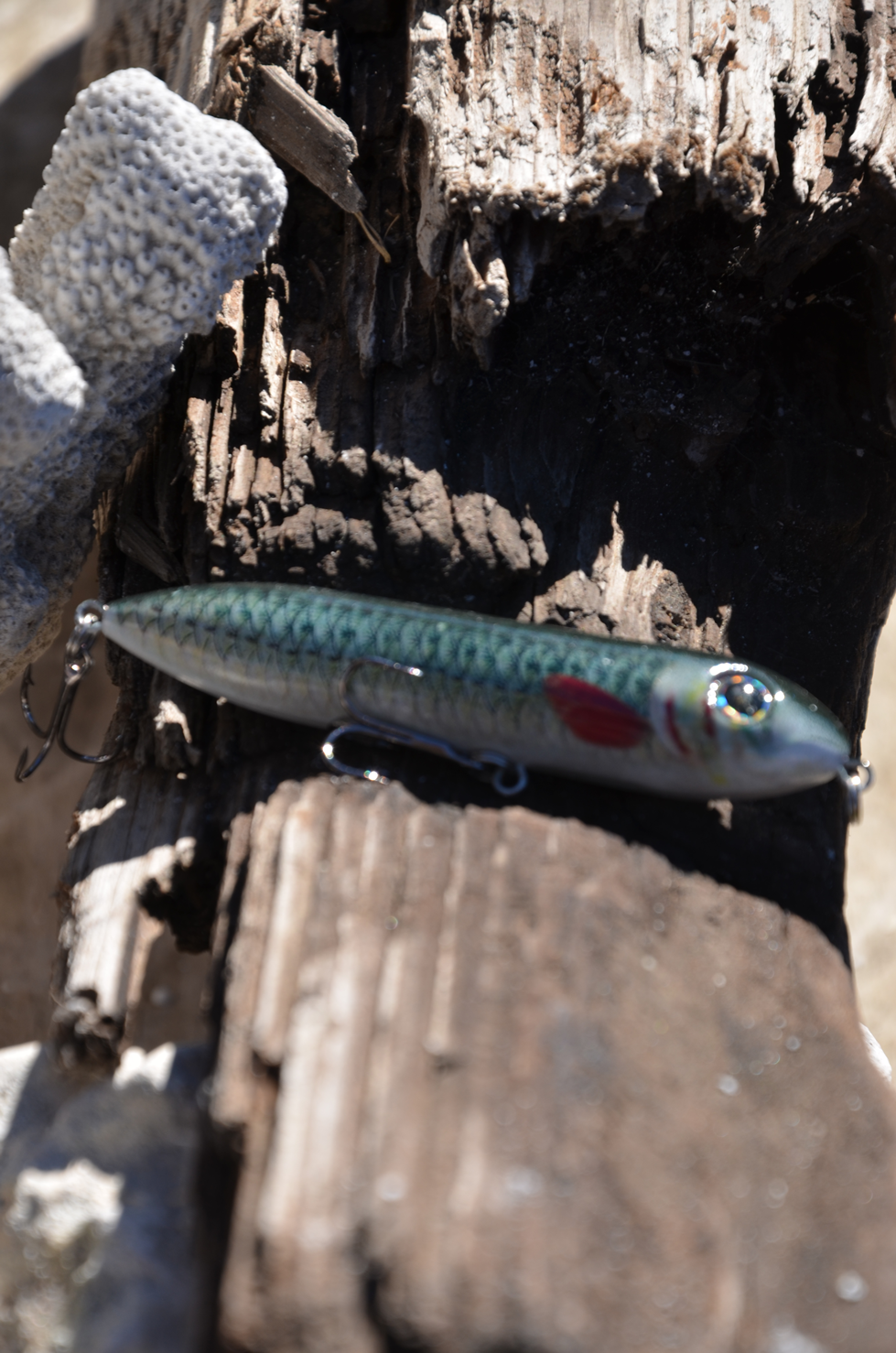 Topwater Wobbling Pumper Thumper(MP)